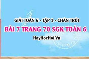 Giải bài 7 trang 70 Toán 6 Tập 1 SGK Chân trời sáng tạo